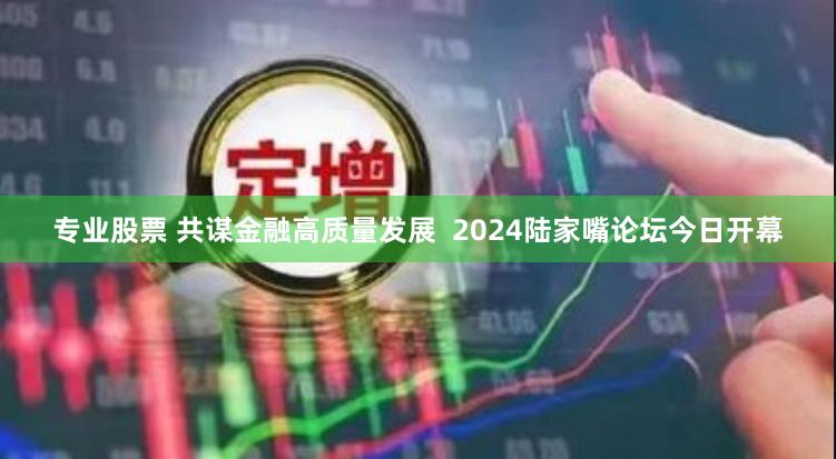 专业股票 共谋金融高质量发展  2024陆家嘴论坛今日开幕