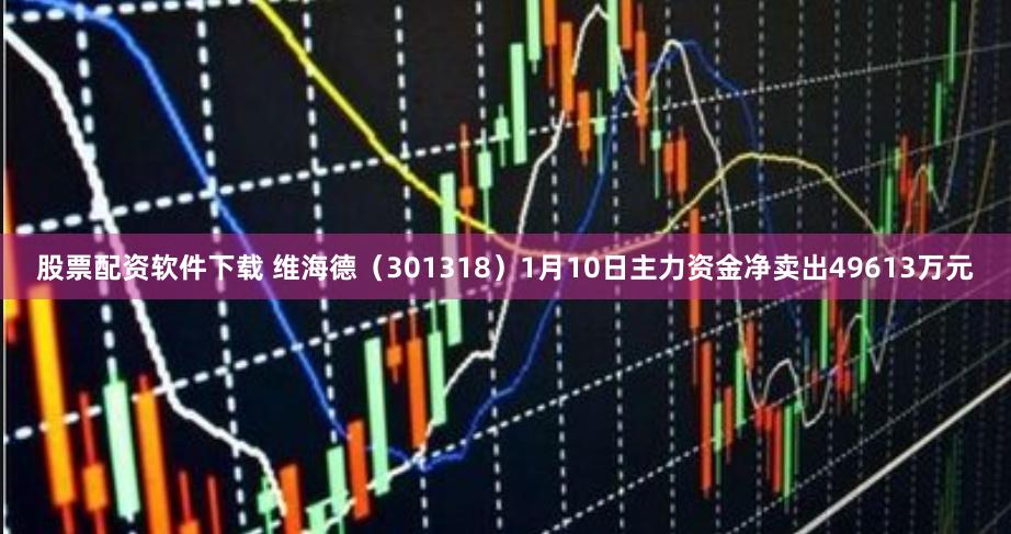 股票配资软件下载 维海德（301318）1月10日主力资金净卖出49613万元