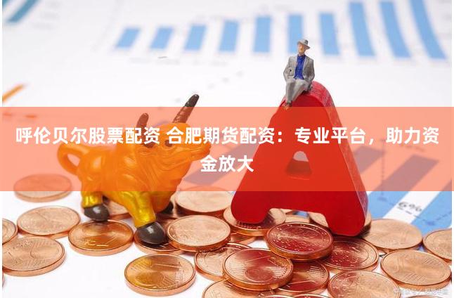 呼伦贝尔股票配资 合肥期货配资：专业平台，助力资金放大