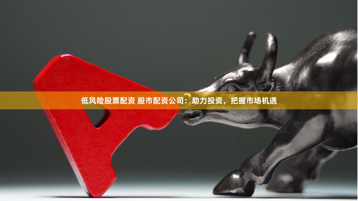 低风险股票配资 股市配资公司：助力投资，把握市场机遇